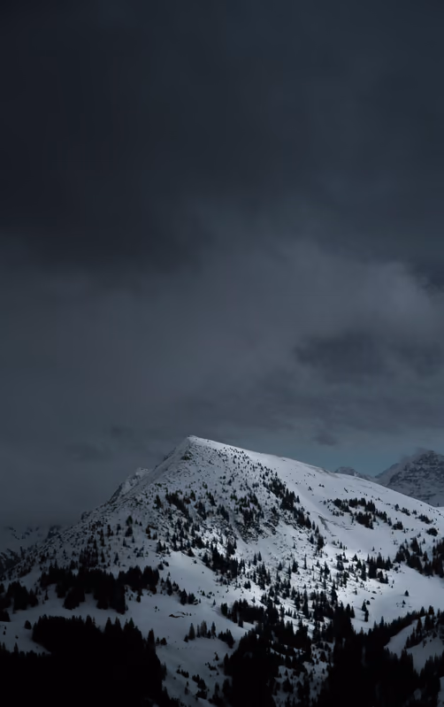 Landschaftsmotiv, Portfolio